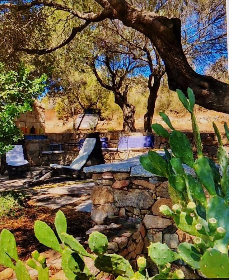 Villa Smeralda Olbia Luaran gambar